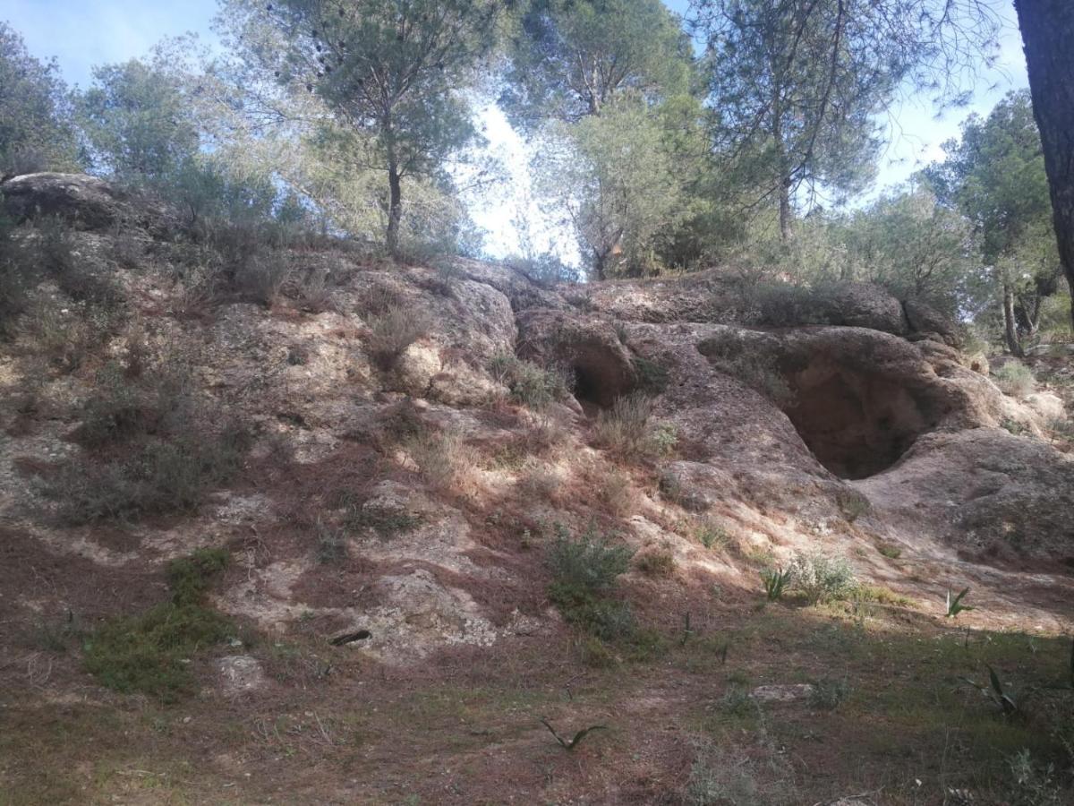 Alojamiento Rural El Paraíso del Chorro El Chorro Exterior foto